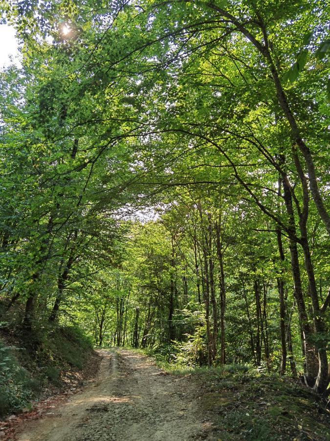 Les Hauts De Grazac, Chambres Et Tables D'Hotes Grazac  Exterior foto